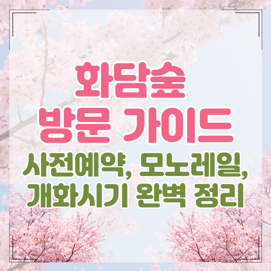 화담숲 벚꽃 시즌 방문 가이드 – 모노레일, 예약, 개화 시기 완벽 정리!