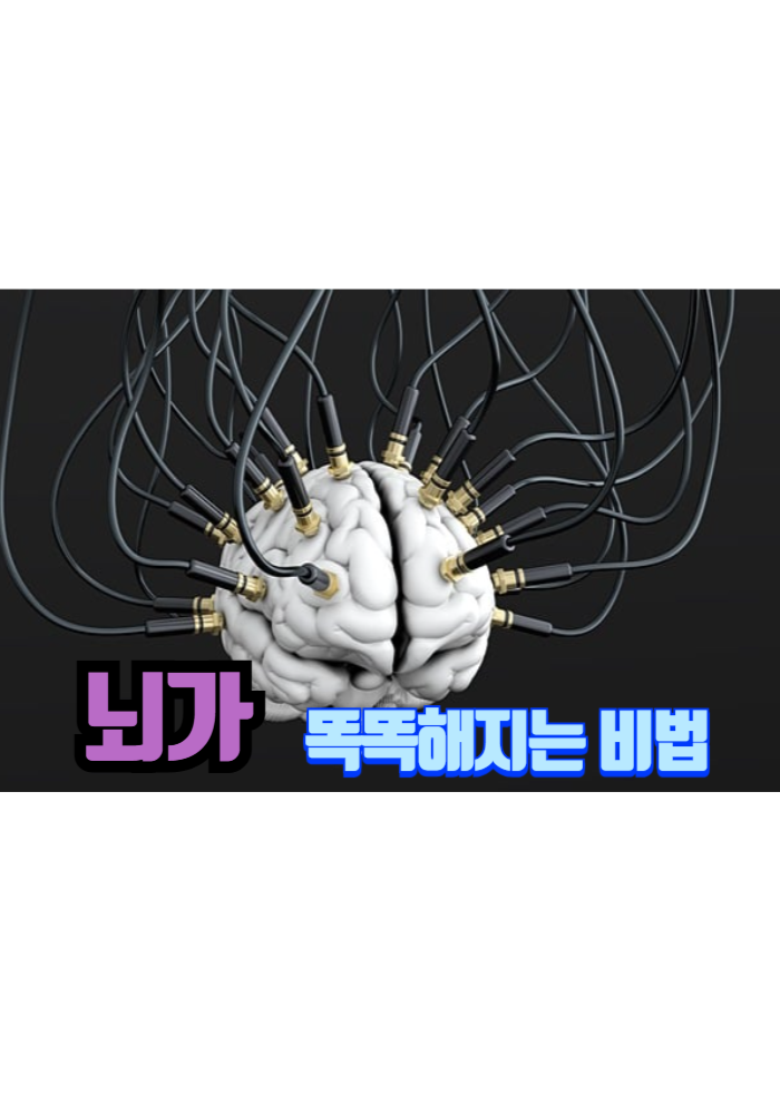 1.뇌가 똑똑해지는 비법