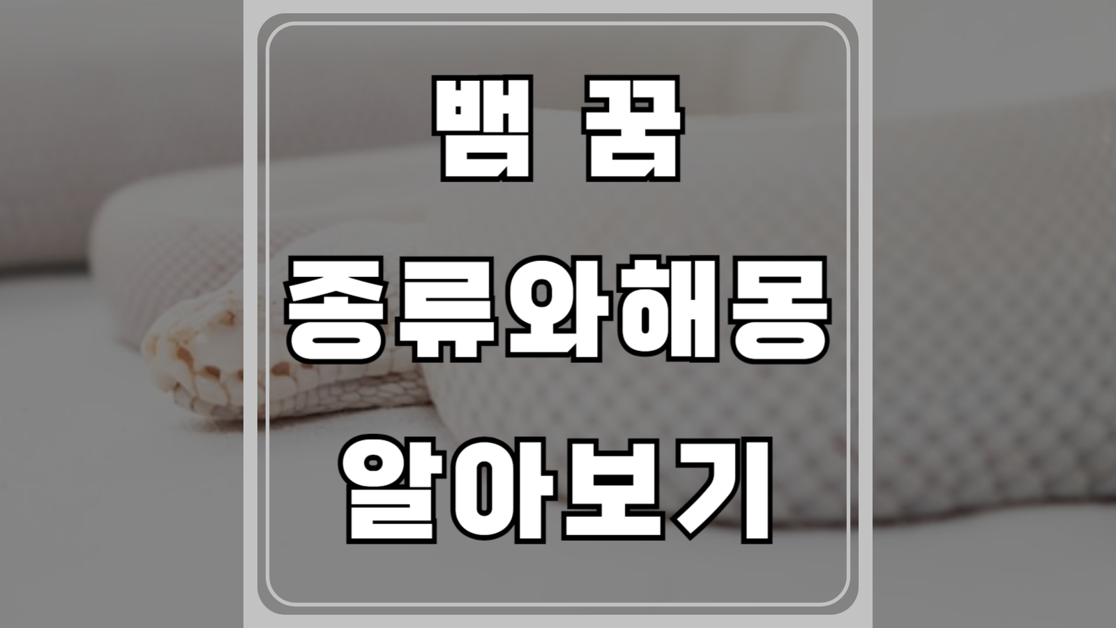뱀 꿈 종류와 해몽 알아보기