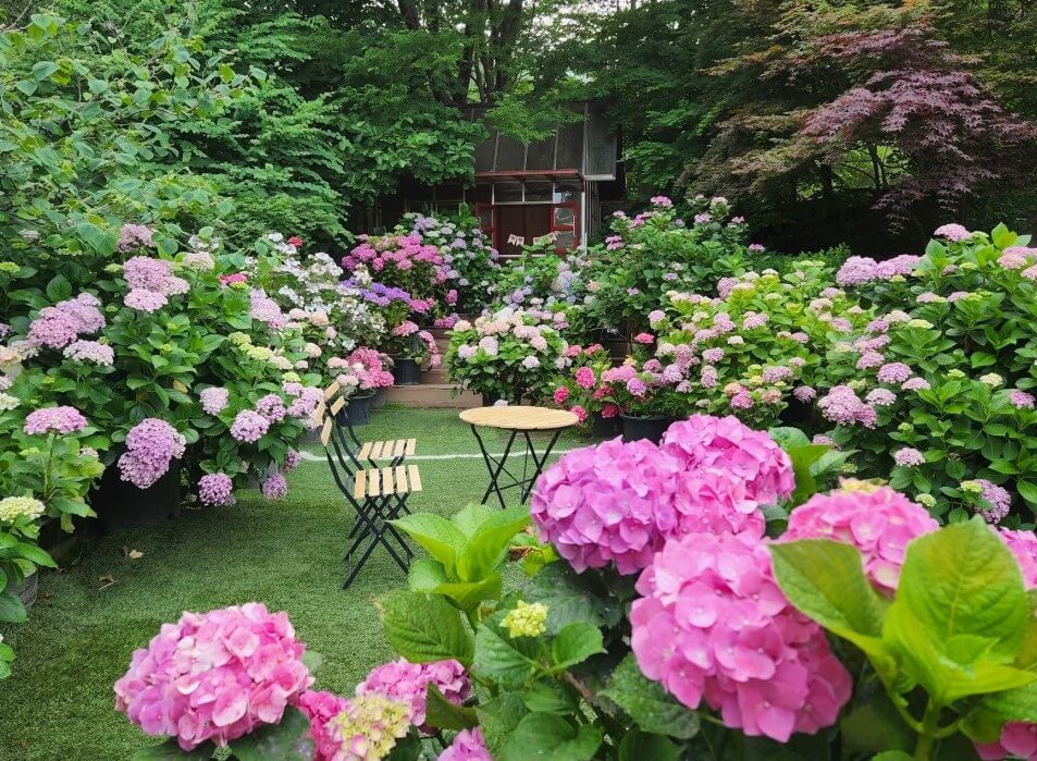 율봄식물원 딸기시즌&amp;#44; 체험하고 식물 동물까지! 식물원과 어우러지는 전원풍경 정원에서 이루어지는 계절 농촌체험입니다. 