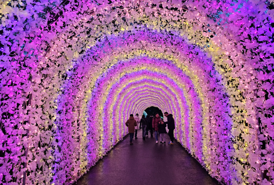 오색별빛정원전 12