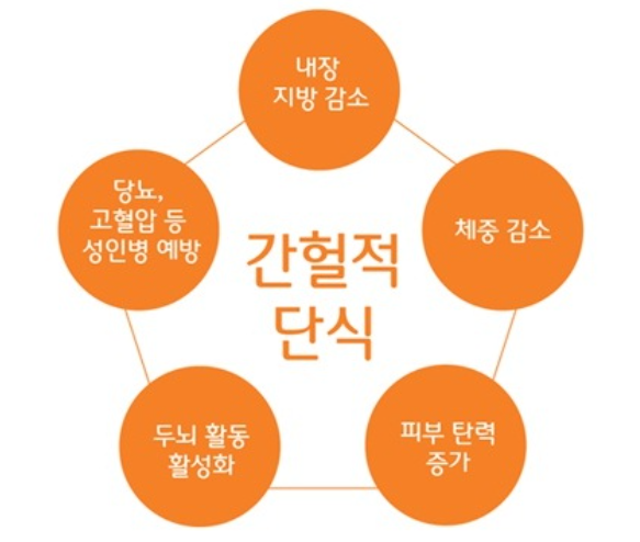 간헐적 단식 원리 (케톤, 인슐린저항, 세포재생)와 호르몬 변화