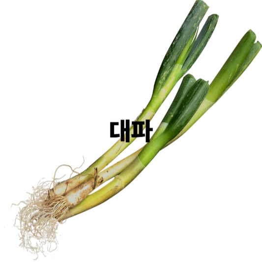 기관지에 좋은 음식 10가지