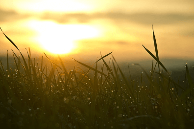 해돋이 명소 추천 BEST 12