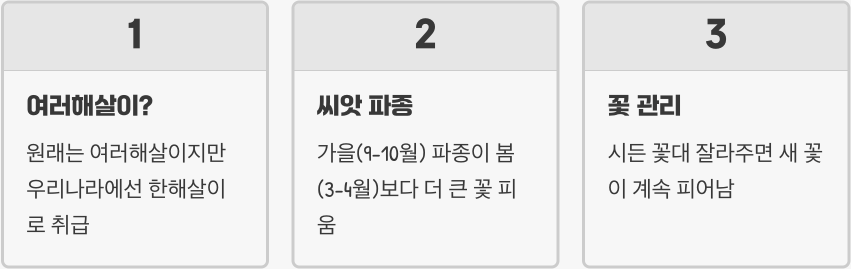 한눈에 알아보는 금어초의 모든 것 (잎, 꽃, 씨앗, 특징)