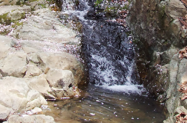 백양산 등산코스