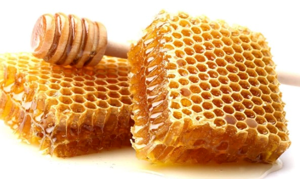 프로폴리스 효능