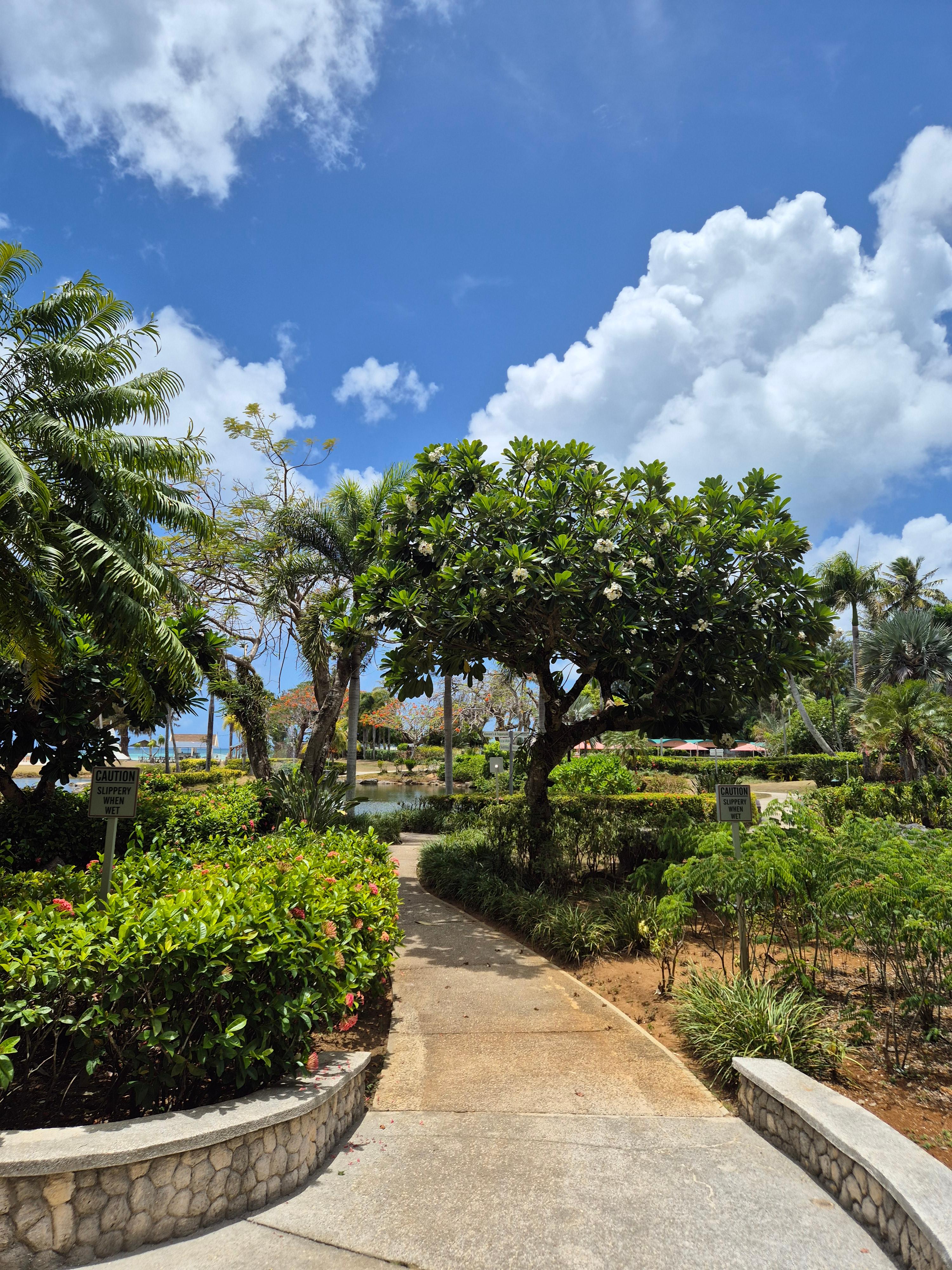 마리아나비치리조트 정원1