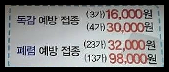 폐렴 예방접종 가격 시기