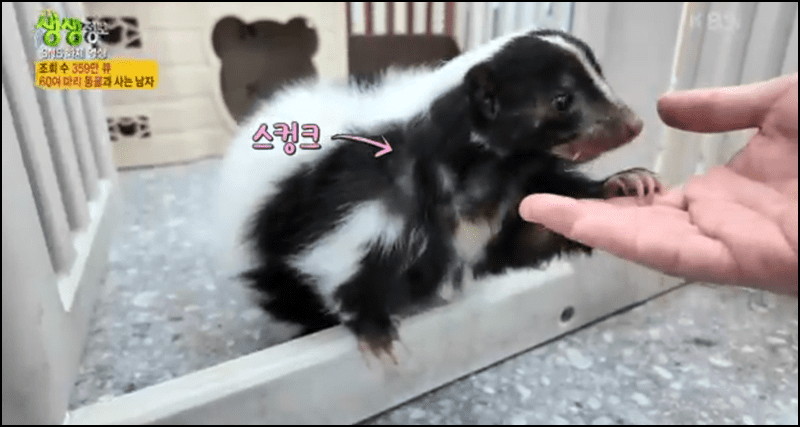 생생정보 수달동물원 안내