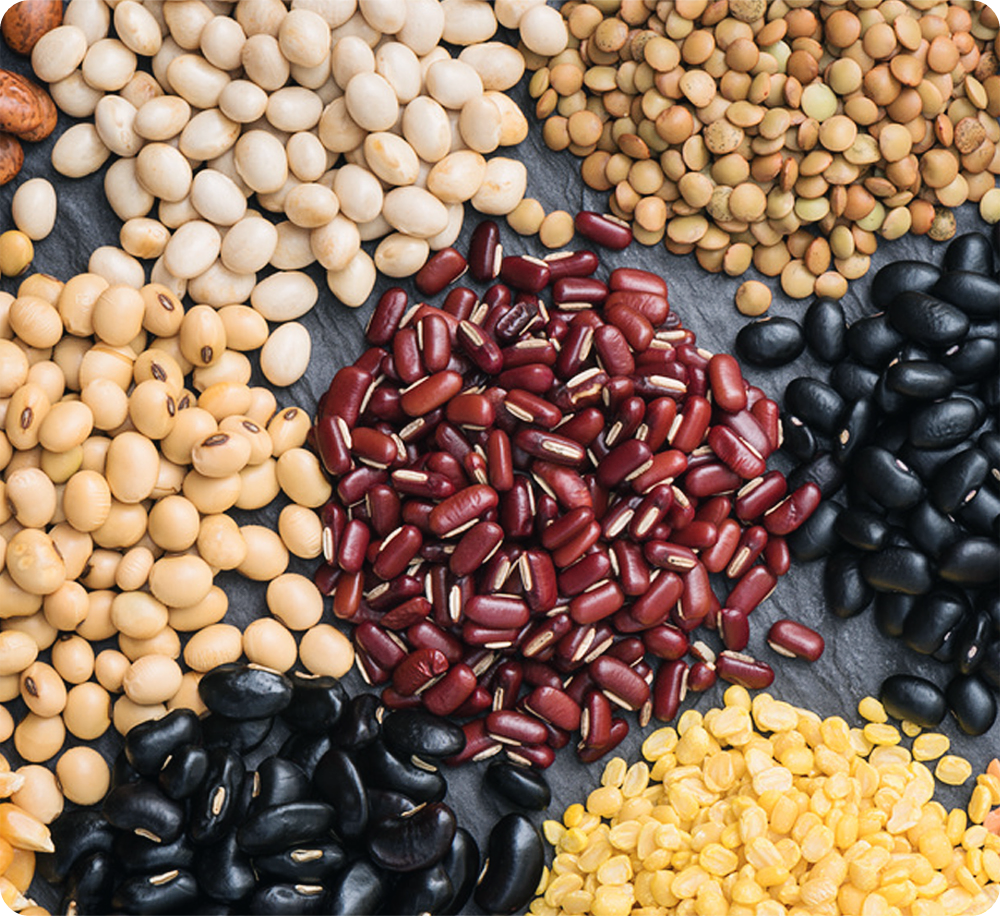 골다공증에-좋은-음식