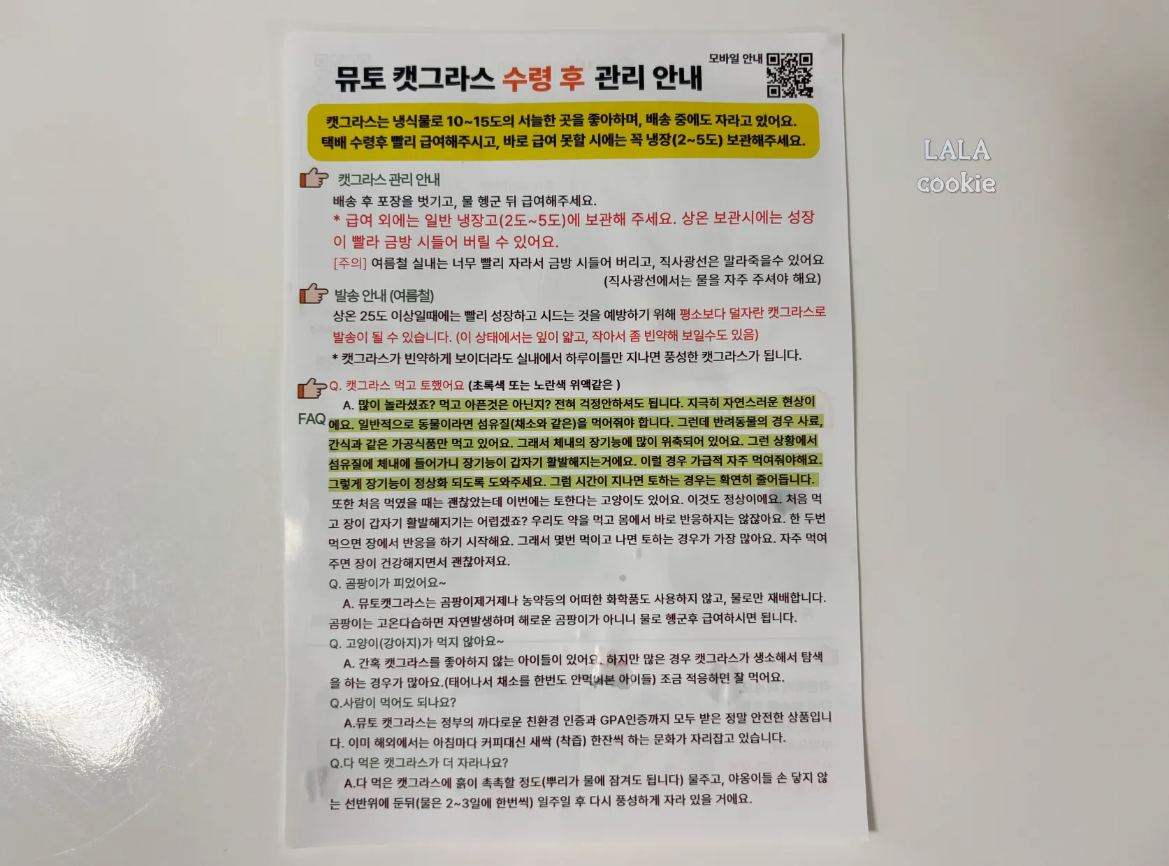 고양이가-좋아하는-풀-캣그라스-귀리-안내-문구-사진