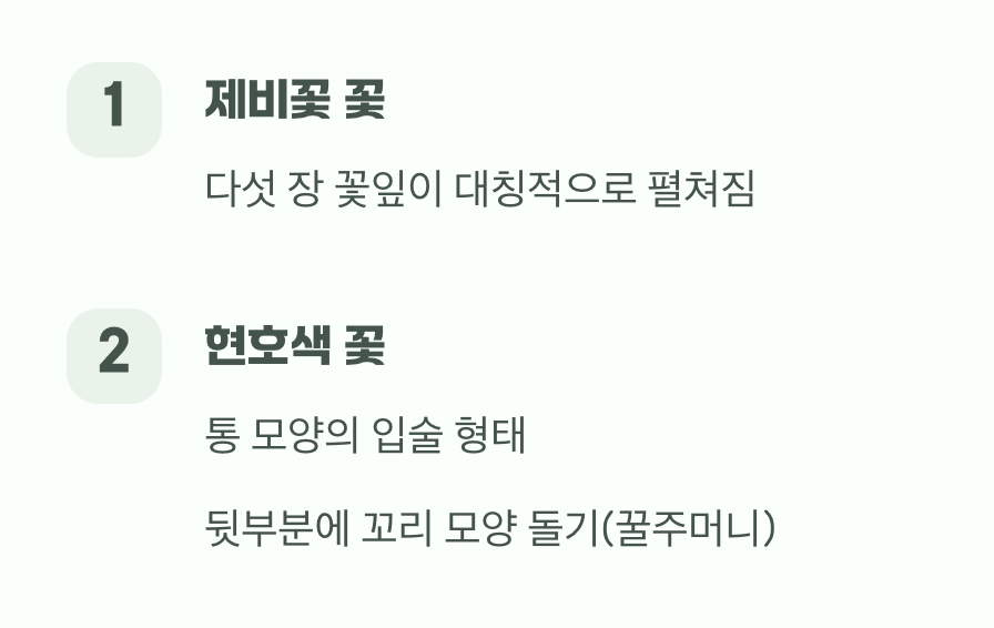 자세히 보면 다른 꽃의 생김새