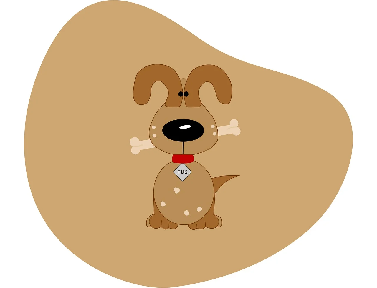 반려동물 여행 코디네이터