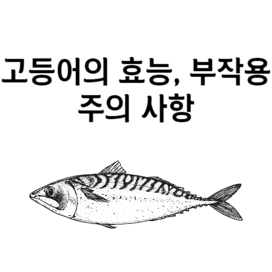 고등어의 효능, 부작용 주의 사항