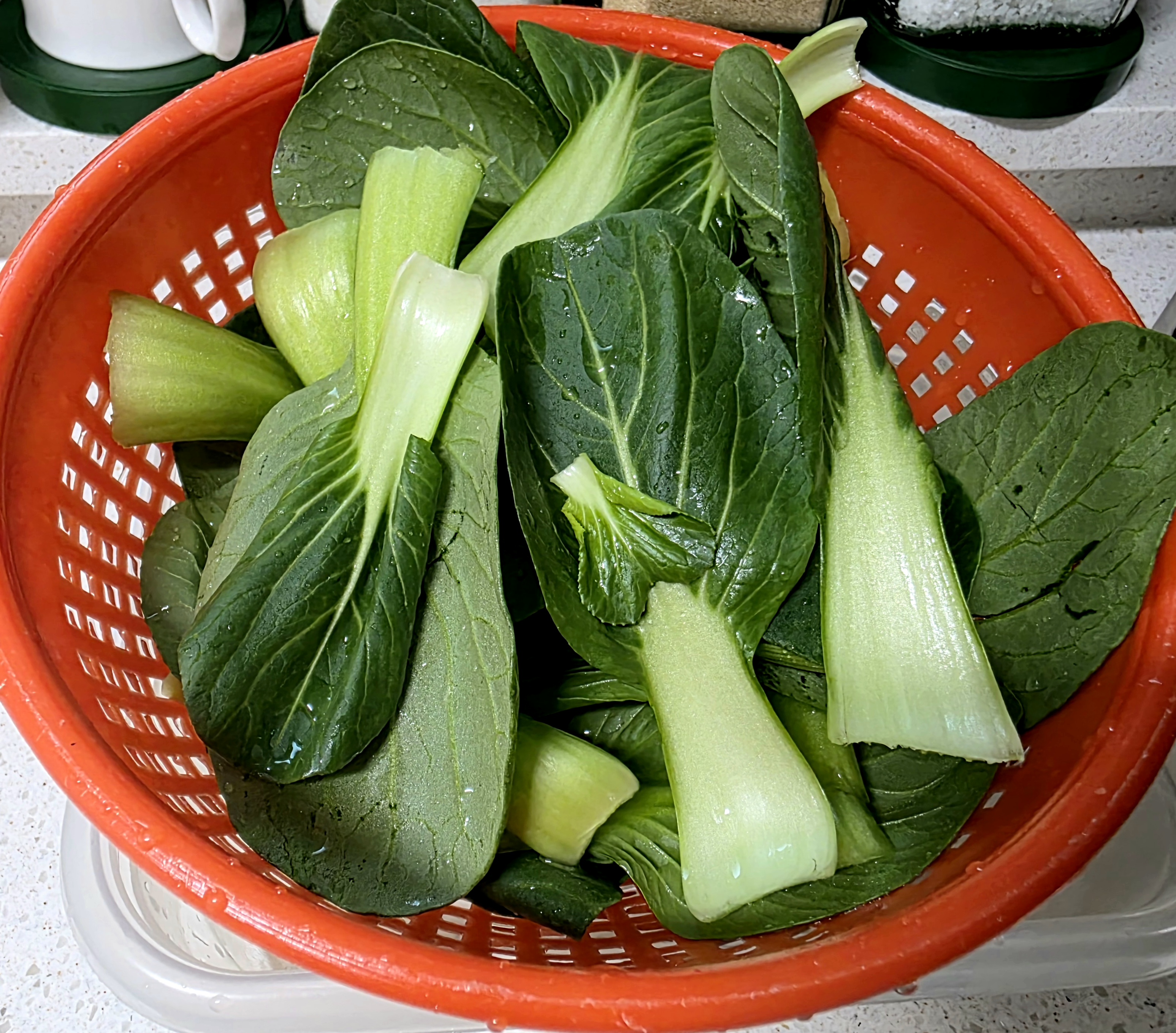 청경채는-깨끗이-씻어요.