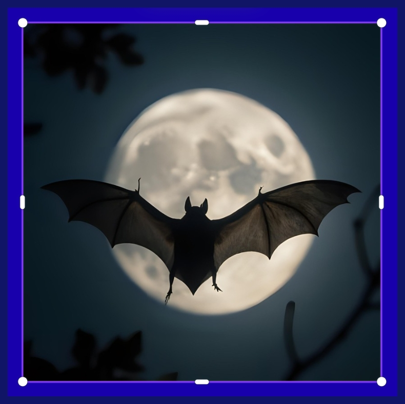 박쥐 날개뼈의 해부학적 구조와 비행역학적 상관성