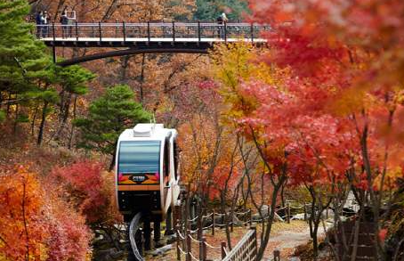 화담숲 예약 3분만에 성공하는 꿀팁