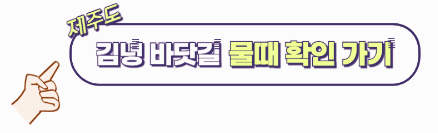 김녕 해수욕장 물때 알아보기