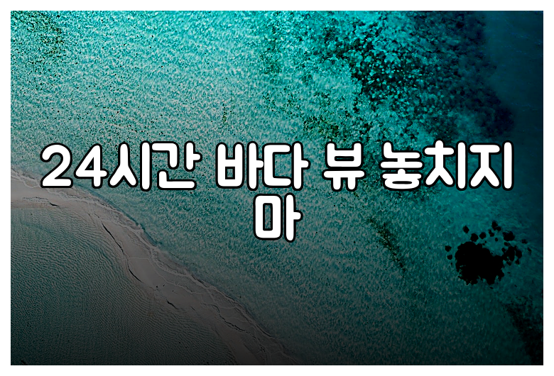 24시간 바다 뷰 놓치지 마