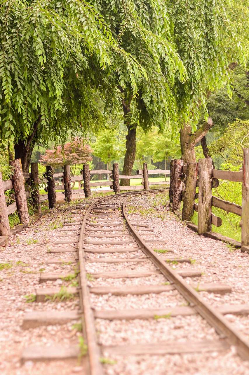가평 남이섬 – 자연과 함께하는 힐링 여행 & 맛집 추천
