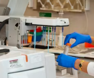 갑상선 기능 저하증 완치하는 법 진단 기준