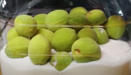 자연이 준 선물, 개복숭아효소 효능부터 가격, 수확시기, 만드는법, 개복숭아 술 담그는법까지 완벽정리