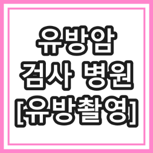 성남시 유방암 검사 하는 동네 병원 [유방 촬영]