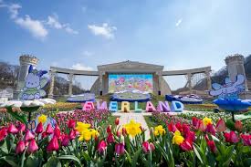 놀유니버스 에버랜드 정기권 365 스탠다드