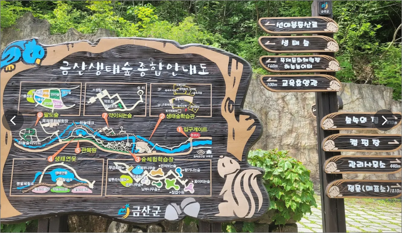 금산 자연휴양림