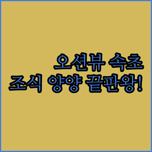 바다 앞 오션뷰 속초 숙소와 조식 주..