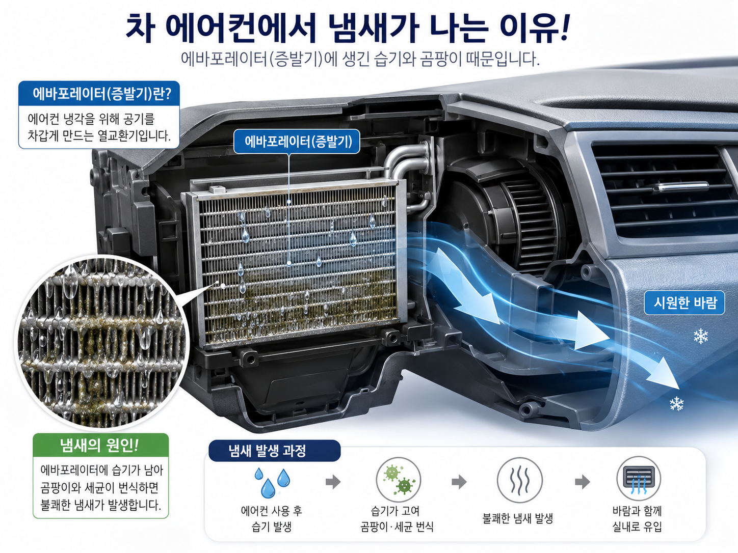 냄새나는 이유