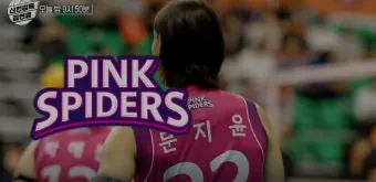 2025 2026 시즌 흥국생명 배구단 선수 명단 및 연봉 계약 FA 외국인 선수 정보 로스터 분석_21