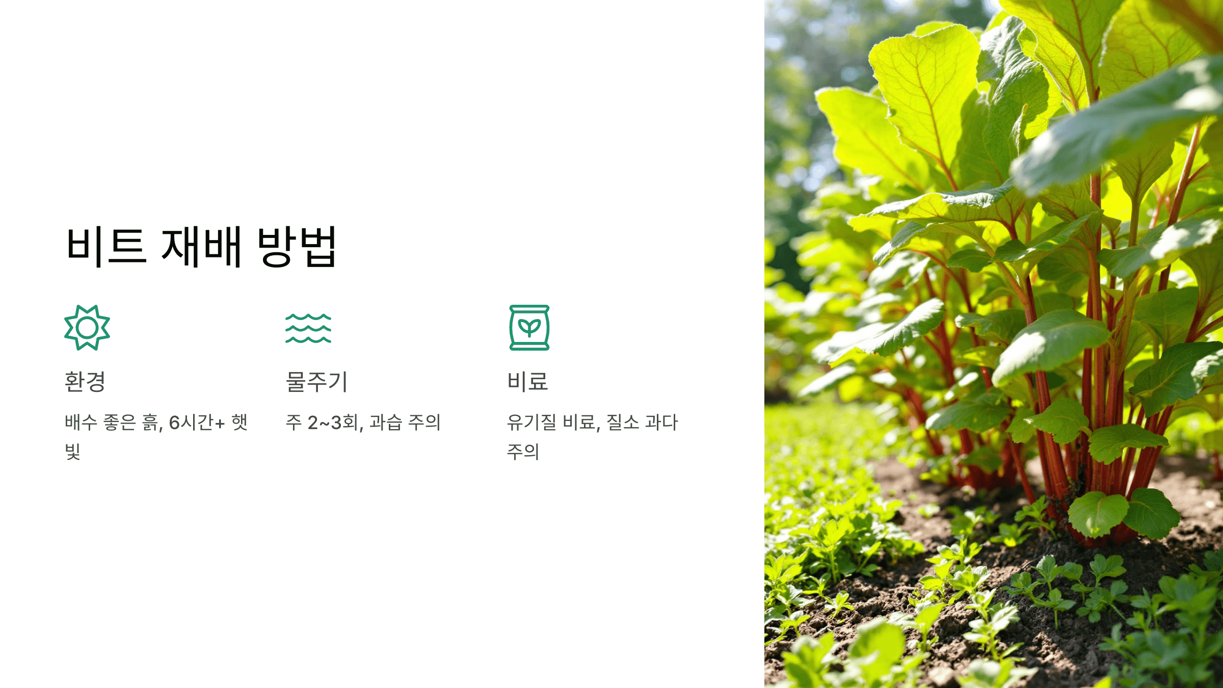 비트 사진입니다.