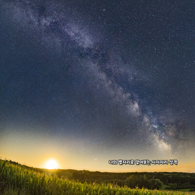 나의 별자리로 알아보는 사자자리 성격