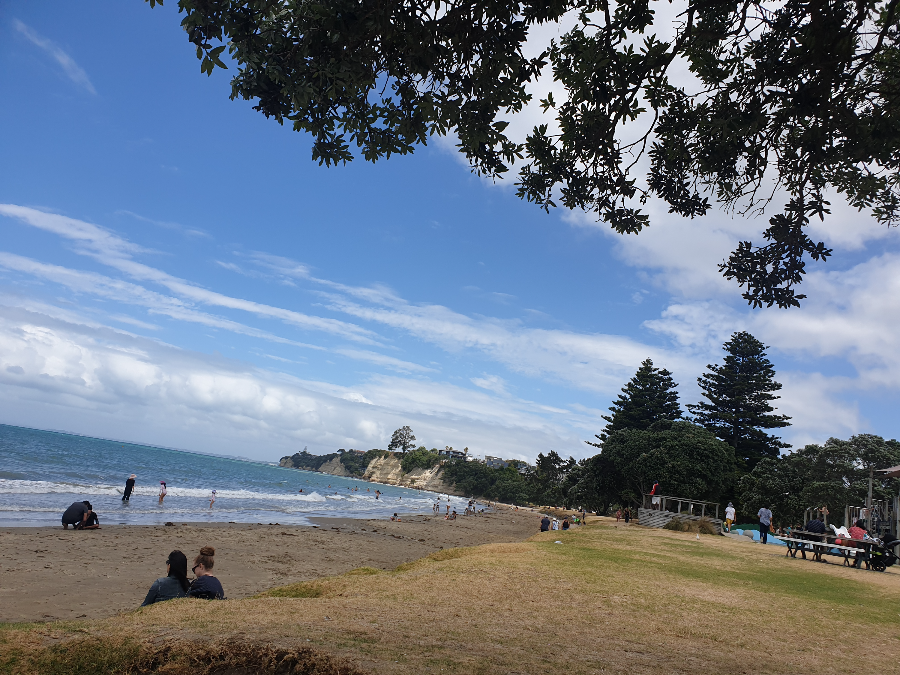Browns Bay Beach Reserve