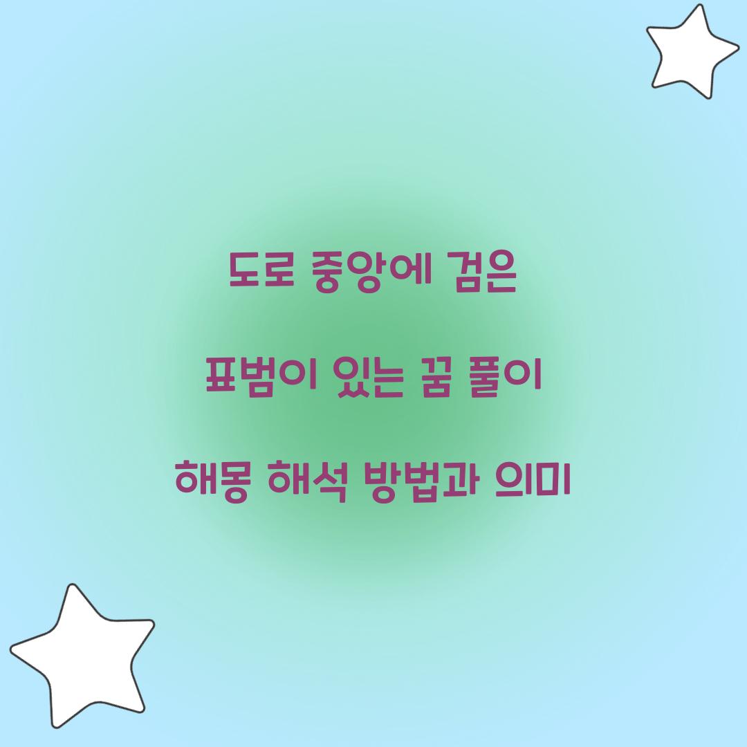 도로 중앙에 검은 표범이 있는 꿈 풀이 해몽 해석