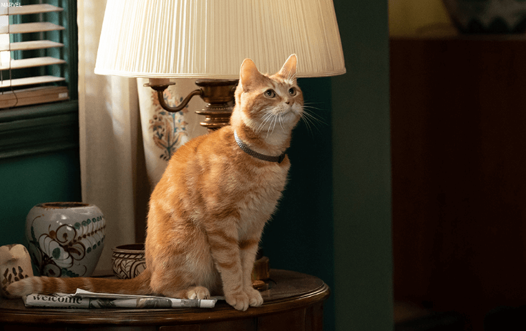 마블스 스틸 공개