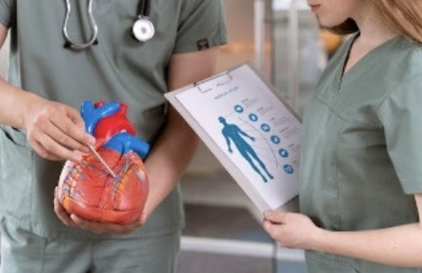 비타민d 효능 10