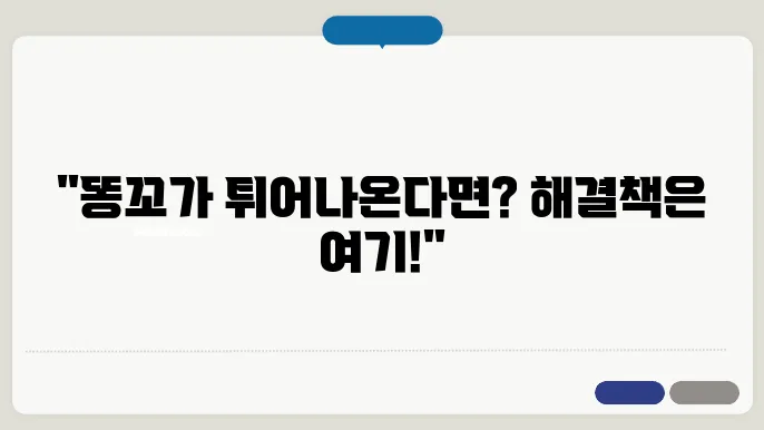 항문 튀어나옴 똥꼬 튀어나옴 이유 예방하는 방법