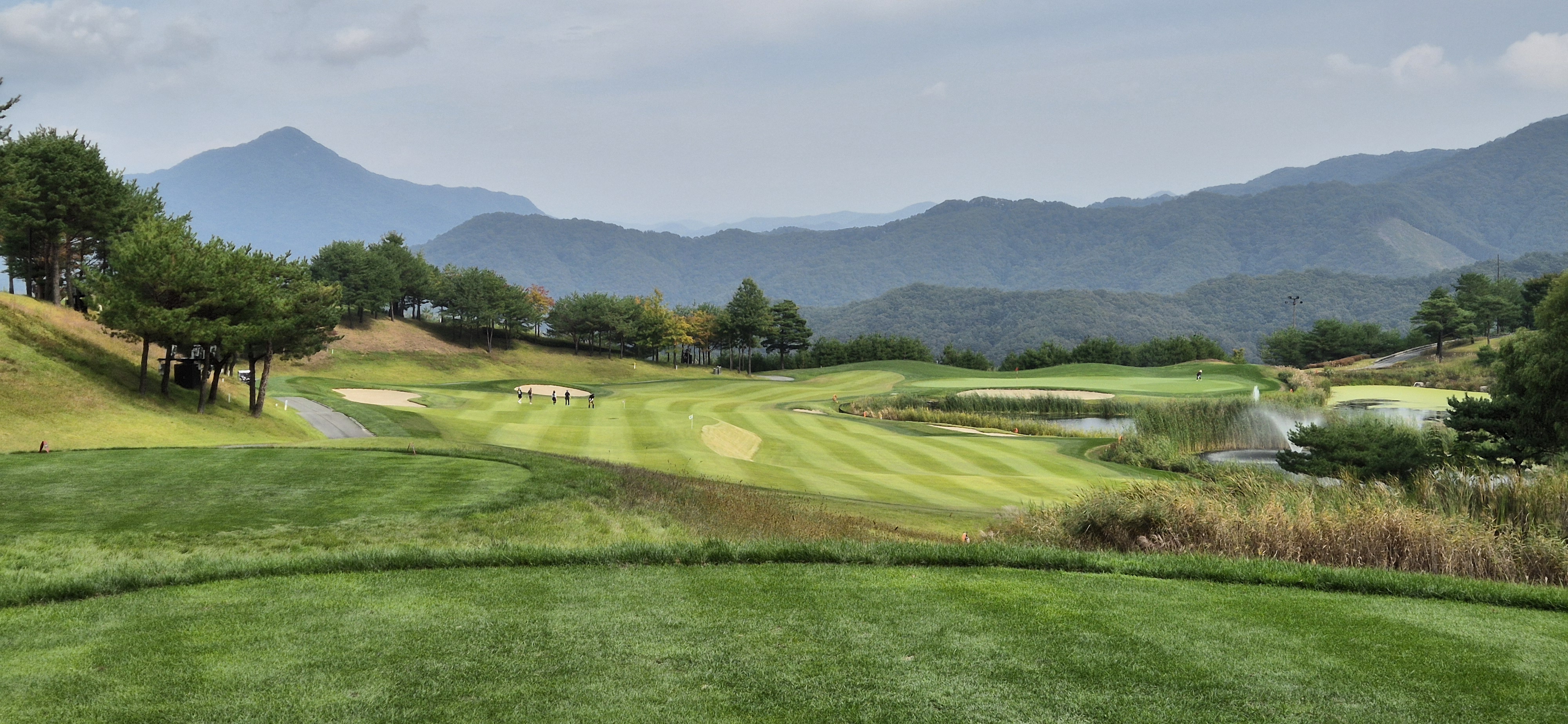 소노펠리체cc이스트