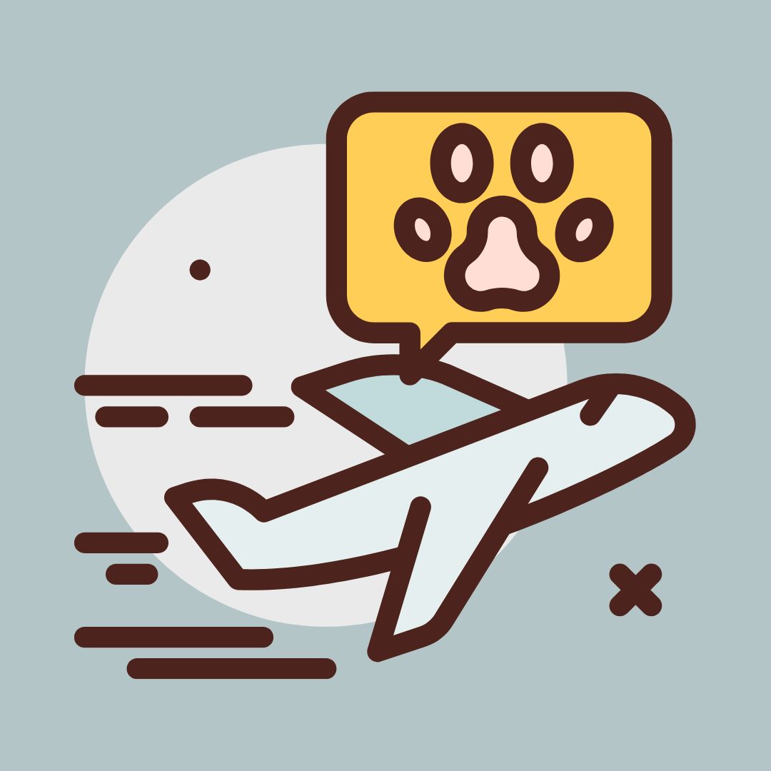 반려동물과/여행하기/대중교통별/이용방법