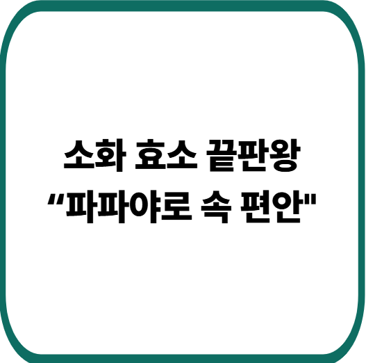 파파야 먹으면 좋은 사람 vs 피해야 할 사람, 효능과 주의점 정리