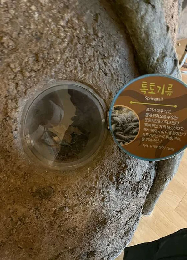 시립 반석산 에코스쿨