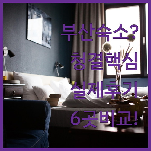 부산역 서면 숙소 결정 해결 실제 투..