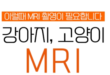 펫 MRI 검사 완벽 가이드 관련 사진