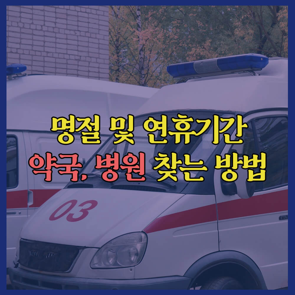 명절및연휴기간약국병원찾는방법, 보건복지부, 휴일지킴이약국, 중앙응급의료센터, 약국, 병원