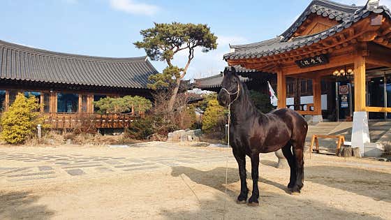 이웃집 백만장자 장사천재 임순형 식당