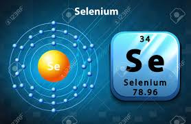 셀레늄의 중요성에 대해서 확인해 봅시다.