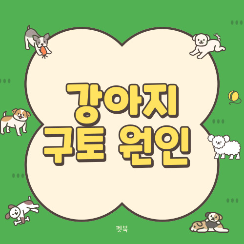 강아지 토하는 이유, 원인 및 대처법